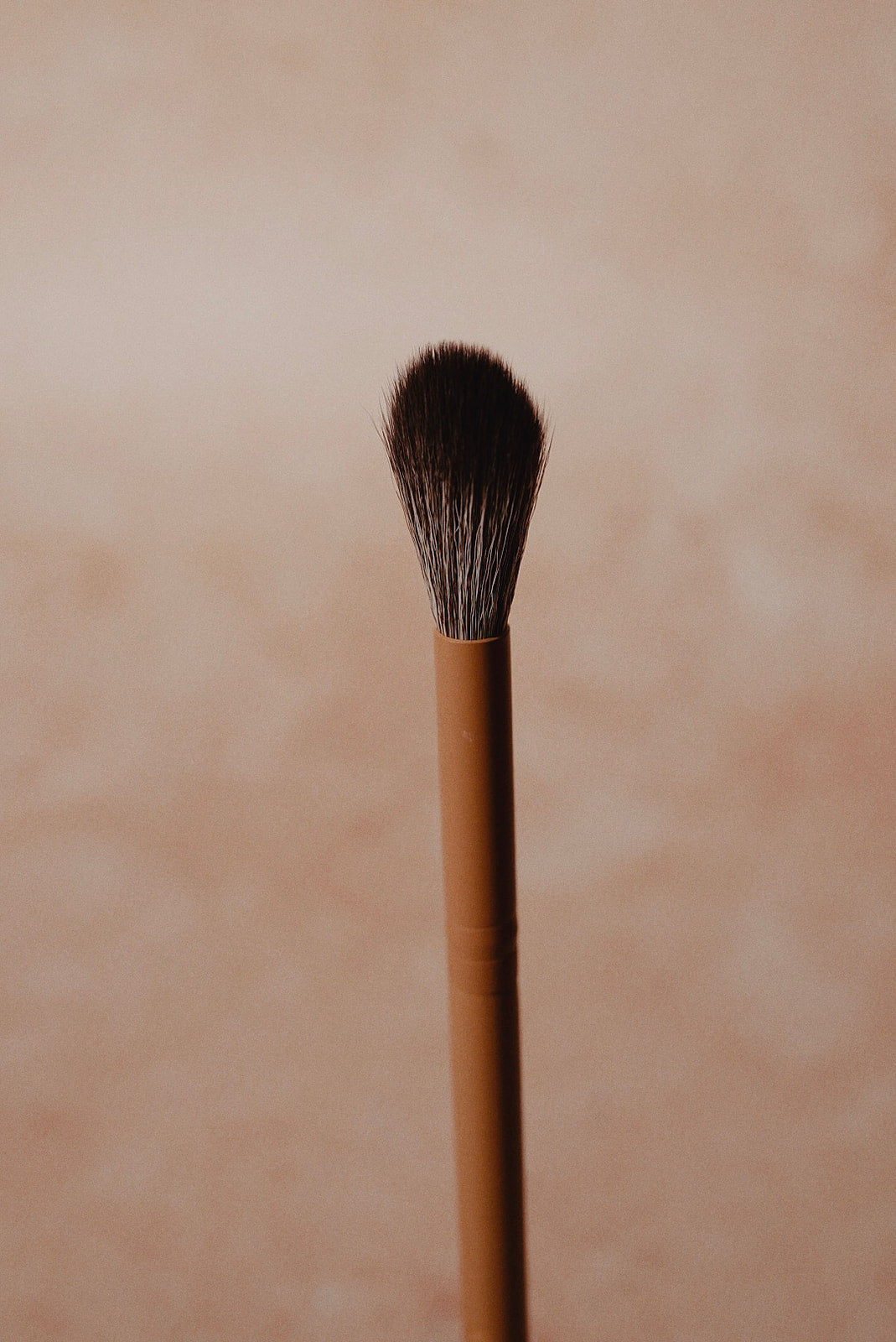 Precision Powder Brush